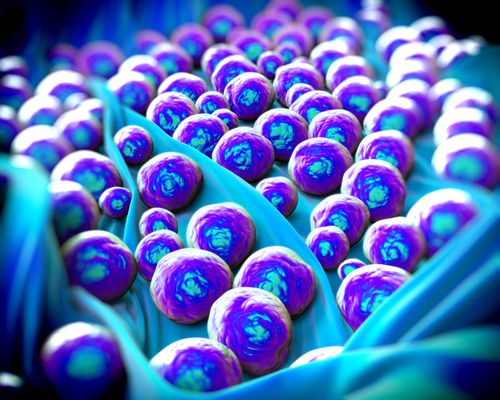 MRSA Infection Pictures, Treatment, and Symptoms
